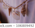 Seashell 106809492