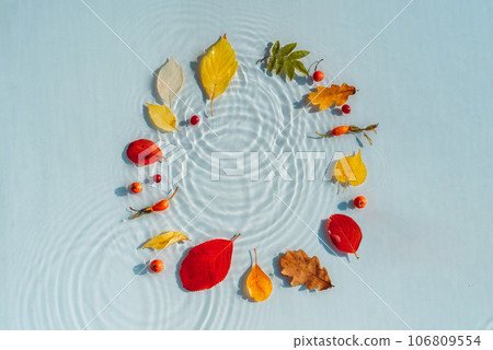 Multi-colored autumn leaves on the background of water with drops and waves 106809554