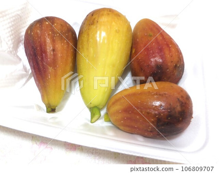 家庭花園收穫的無花果 106809707