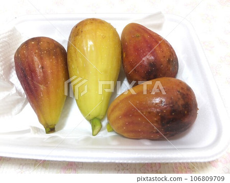 家庭花園收穫的無花果 106809709