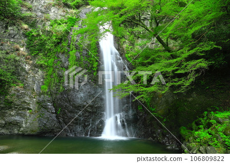 [大阪府]鮮綠的箕面瀑布 106809822