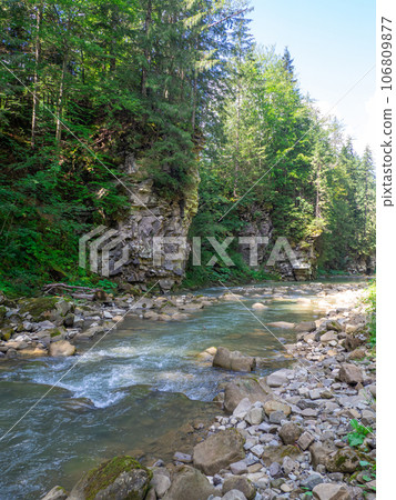 canyon with river and green trees in summer in Carpathian mountains 106809877