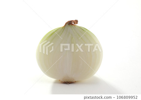 onion onion 106809952