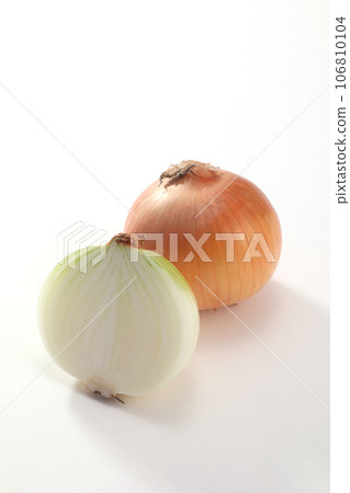 onion onion 106810104