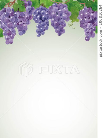 葡萄框水彩手繪A4 葡萄框水彩手繪A4 106810264
