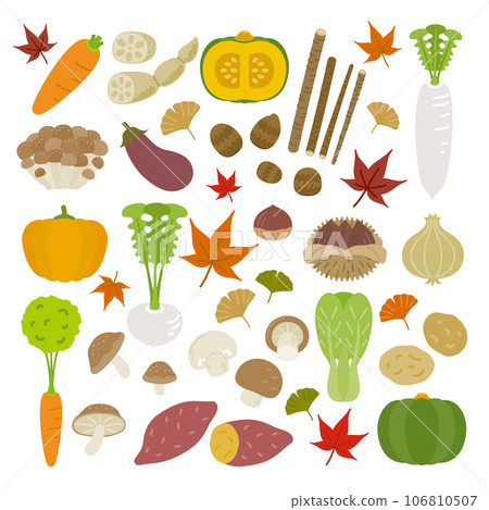 Food icon set (autumn): simple and cute autumn vegetables and autumn leaves, ginkgo 106810507