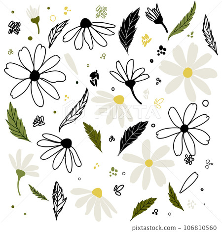 White daisy chamomile flowers. Camomile vector illustration set. Cute round flower head plant nature collection. Decoration element. Love card symbol. Flat design for cards, packaging, prints, textile White daisy chamomile flowers. Camomile vector illustration set. Cute round flower head plant nature collection. Decoration element. Love card symbol. Flat design for cards, packaging, prints, textile 106810560