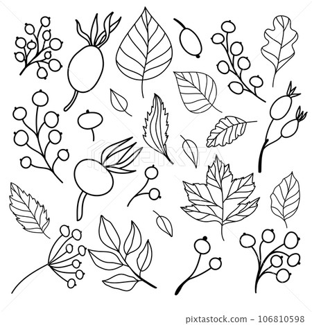 Set of flat isolated illustration of leaves and berries in cozy autumn colors. hand drawn vector decor for scrapbooking, textile or book covers, wallpapers, graphic art, printing, hobby, invitation 106810598