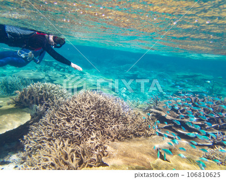 通過浮潛欣賞八重橋的珊瑚礁 106810625