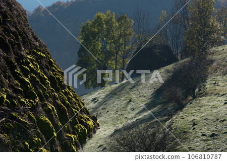 Green moss on a thatched roof. Mountain hut 106810787