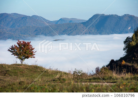 Morning mist in the mountains in a sunny autumn day Morning mist in the mountains in a sunny autumn day 106810796