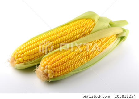 Two fresh corn on the cob on a white background, isolated. Thanksgiving food, harvest Two fresh corn on the cob on a white background, isolated. Thanksgiving food, harvest 106811254