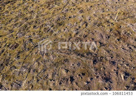 Deforestation aerial drone shot 106811453