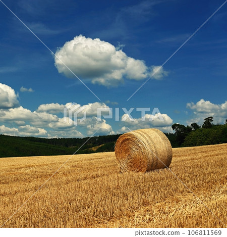 Beautiful summer landscape with haystacks - hay bales. Concept for nature, harvest time and end of summer. 106811569