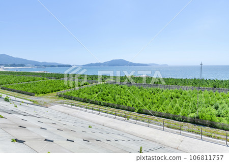 Takada Matsubara, Rikuzentakata City, Te Prefecture, planted with trees to recover from tsunami damage Takada Matsubara, Rikuzentakata City, Te Prefecture, planted with trees to recover from tsunami damage 106811757