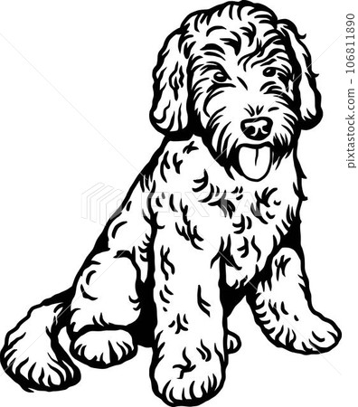 Funny discount labradoodle videos