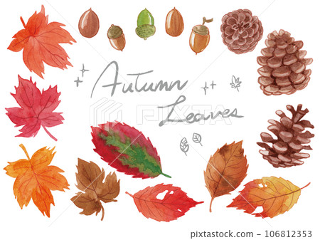 Autumn leaves, acorns, pine cones, hand-drawn watercolor illustration set 106812353