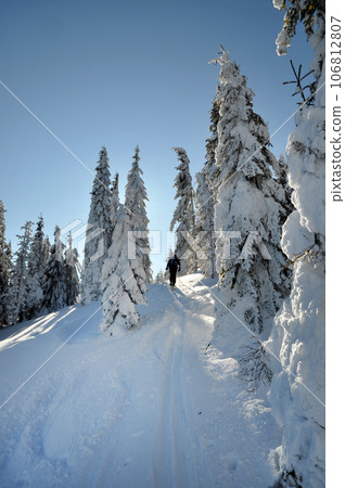 Backcountry skier enjoying winter first snow 106812807