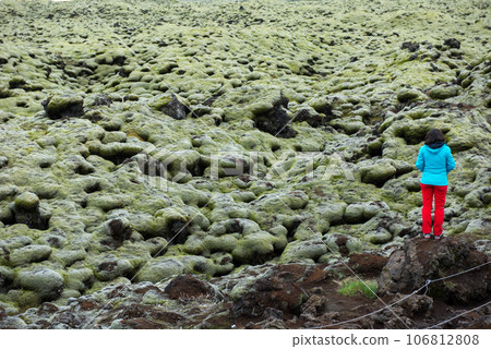 Moss covered lava field, Eldhraun, Iceland 106812808