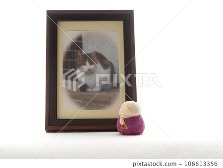 Photo frame for pet memorial service 1 Image of pet loss Photo frame for pet memorial service 1 Image of pet loss 106813356