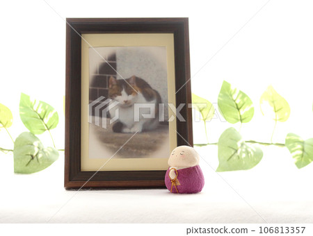 Photo frame for pet memorial service 2 Image of pet loss Photo frame for pet memorial service 2 Image of pet loss 106813357