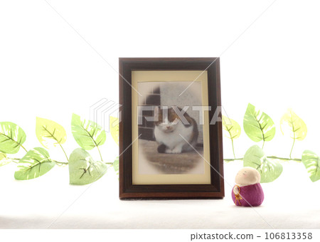 Photo frame for pet memorial service 3 Image of pet loss Photo frame for pet memorial service 3 Image of pet loss 106813358