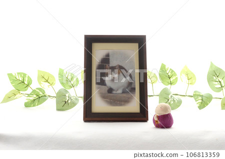 Photo frame for pet memorial service 4 Image of pet loss Photo frame for pet memorial service 4 Image of pet loss 106813359