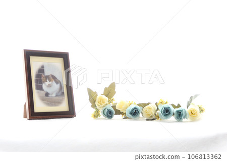 Photo frame for pet memorial service 7 Image of pet funeral Photo frame for pet memorial service 7 Image of pet funeral 106813362