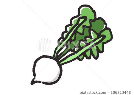 Illustration of a simple turnip - Stock Illustration [106813448] - PIXTA