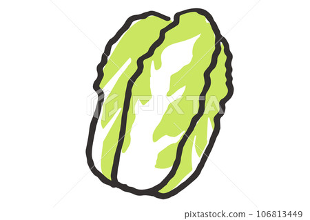 Simple Chinese cabbage illustration Simple Chinese cabbage illustration 106813449