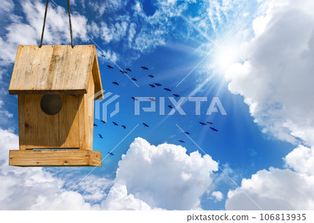 Small Wooden Birdhouse and a Flock of Birds on Blue Sky with Clouds 106813935