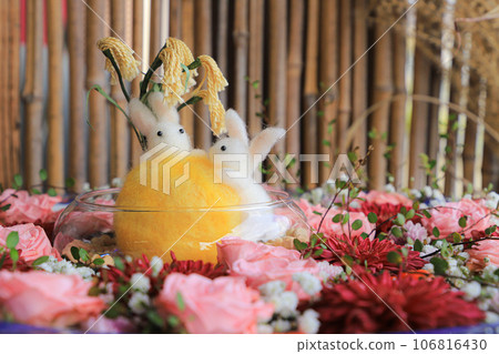 Moon and rabbit 106816430