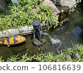 Small pond 106816639