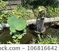 Small pond 106816642