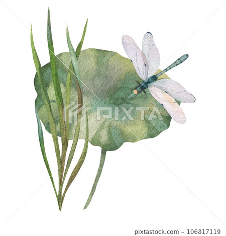 composition of green leaves with dry water lily, dragonfly and watercolor blue water spot. painted in watercolor on white background. for design of postcards, prints, invitations, labels 106817119