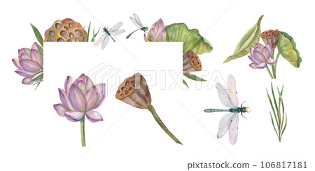 Rectangular composition of lotus flowers and green and dry leaves, flying dragonflies.It is used for signs, banners, invitations. Any text Rectangular composition of lotus flowers and green and dry leaves, flying dragonflies.It is used for signs, banners, invitations. Any text 106817181