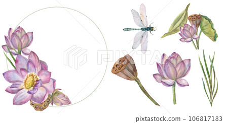 Set of a bouquet of delicate lotus flowers, painted in watercolor, in a round frame. Elements of the set isolated separately on a white background. Botanical illustration. for card design, invitation Set of a bouquet of delicate lotus flowers, painted in watercolor, in a round frame. Elements of the set isolated separately on a white background. Botanical illustration. for card design, invitation 106817183