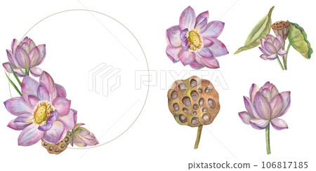 Set of a bouquet of delicate lotus flowers, painted in watercolor, in a round frame. Elements of the set isolated separately on a white background. Botanical illustration. for card design, invitation Set of a bouquet of delicate lotus flowers, painted in watercolor, in a round frame. Elements of the set isolated separately on a white background. Botanical illustration. for card design, invitation 106817185