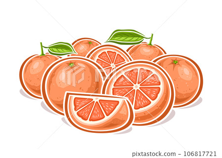 Vector logo for Grapefruits Vector logo for Grapefruits 106817721