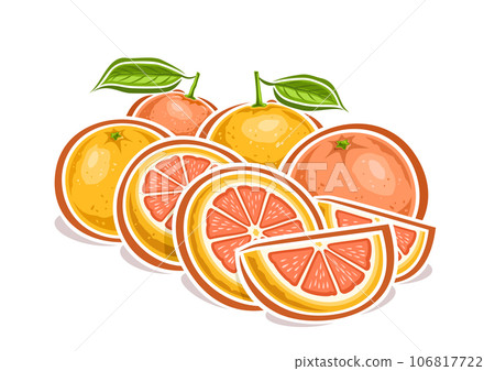 Vector logo for Grapefruits Vector logo for Grapefruits 106817722