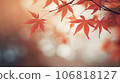 陽光明媚的秋葉 106818127