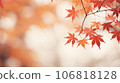 陽光明媚的秋葉 106818128