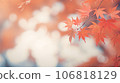 陽光明媚的秋葉 106818129