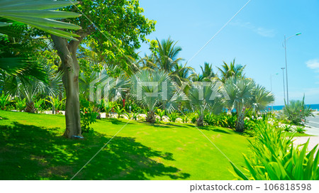Park area at the hotel. Park area at the hotel. 106818598