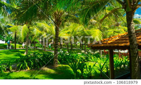 Park area at the hotel.  106818979