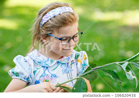 Little preschool girl watches caterpillar climb on plant. Happy excited child watching and learning insects in domestic gardens. Little preschool girl watches caterpillar climb on plant. Happy excited child watching and learning insects in domestic gardens. 106820438