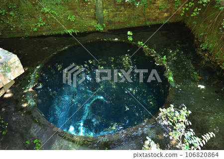 Mishima/Kakita River Spring Group 2nd Observation Deck Wakuma (Japan's three major clear streams) Mishima/Kakita River Spring Group 2nd Observation Deck Wakuma (Japan's three major clear streams) 106820864