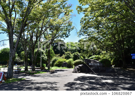 三島/柿田川公園(日本三大清流)入口 三島/柿田川公園(日本三大清流)入口 106820867