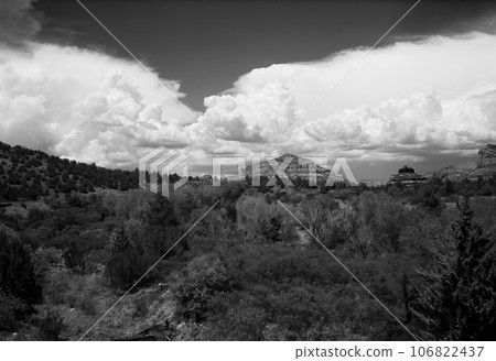 Black and White Sedona Arizona surrounding Red Rock Country on Film Black and White Sedona Arizona surrounding Red Rock Country on Film 106822437