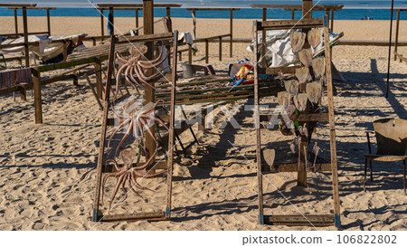 Seafood drying on sun in Nazare, Portugal 106822802